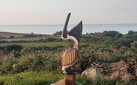 A Piece Of Oceanfront Heaven Holiday Home Sleeps 6